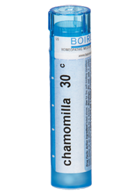 Chamomilla, the Homeopathic remedy
